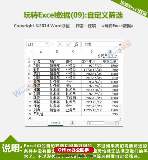 excel表格自定义筛选 Excel表格的自定义筛选功能详解