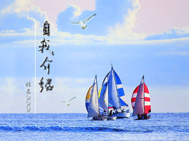 蓝色幻灯片背景 海鸥帆船背景的自我介绍PPT模板下载
