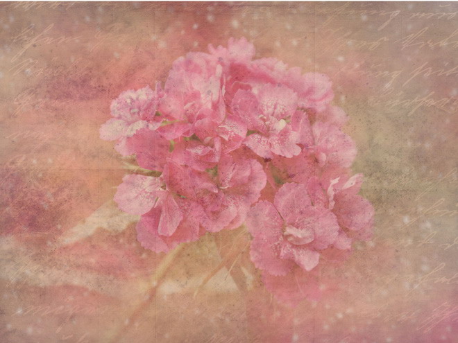 唯美PPT背景图片 唯美粉色花卉艺术PPT背景图片