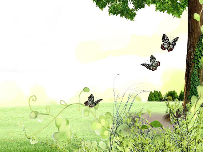 草坪PPT背景图片 草坪大树蝴蝶花卉自然PPT背景图片