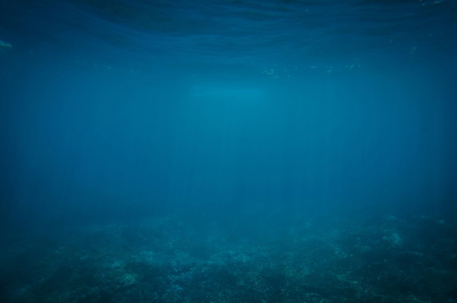 蓝色背景图片 蓝色海底世界简洁PPT背景图片