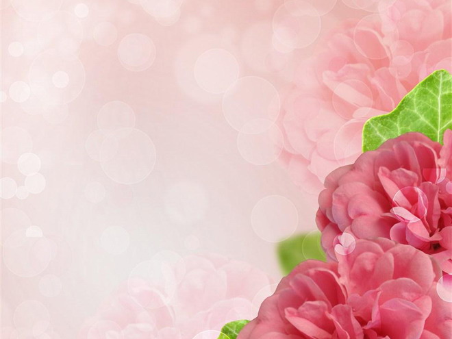 粉色PPT背景图片 粉色花卉PPT背景图片