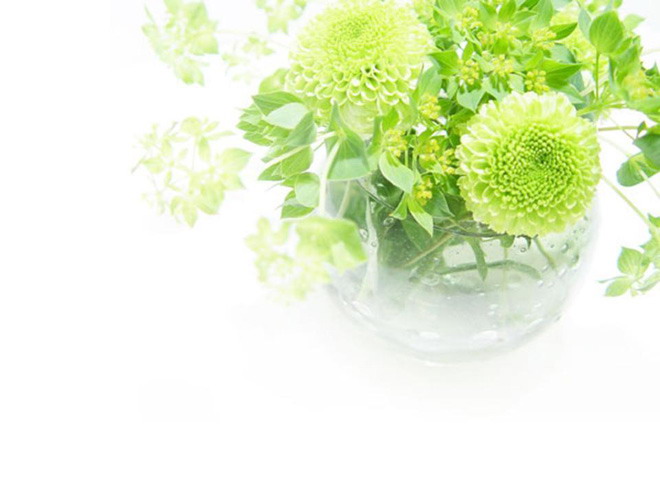 绿色PPT背景图片 绿色花瓶植物PPT背景图片