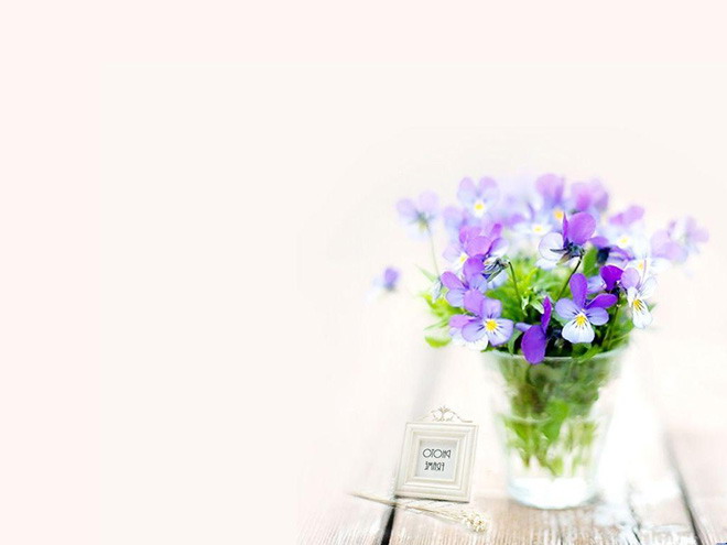 花卉PPT背景图片 紫色花卉植物PPT背景图片