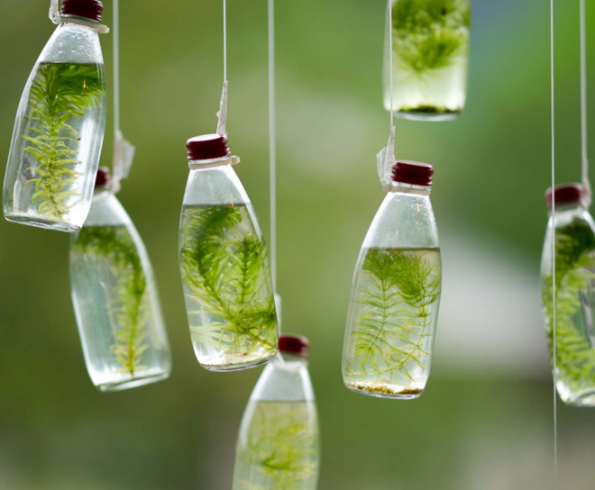 绿色PPT背景图片 玻璃水杯瓶子绿苔植物PPT背景图片