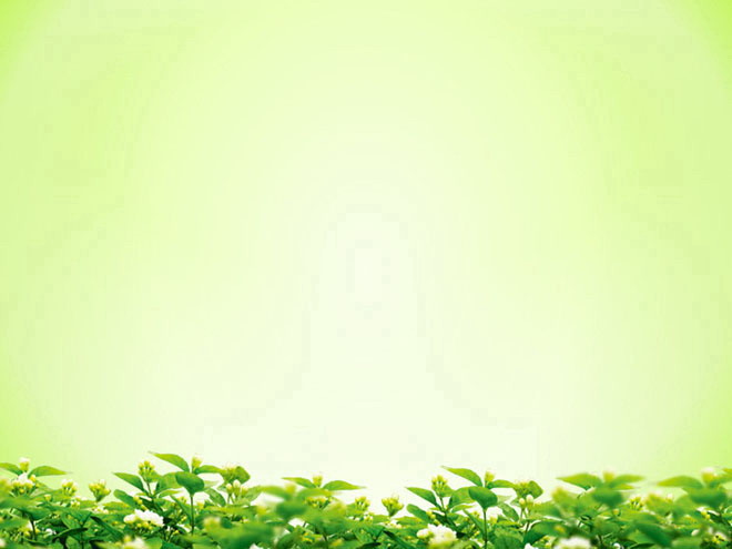 淡雅绿色PPT背景 淡雅绿色背景的叶子绿叶幻灯片背景图片下载