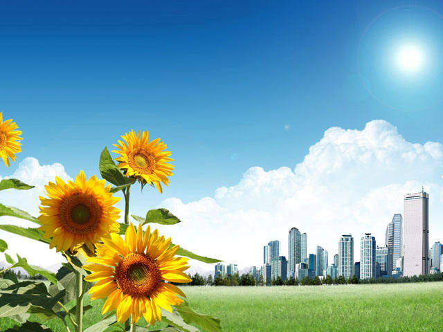 高楼PPT背景图片 城市边缘的向日葵PowerPoint背景图片