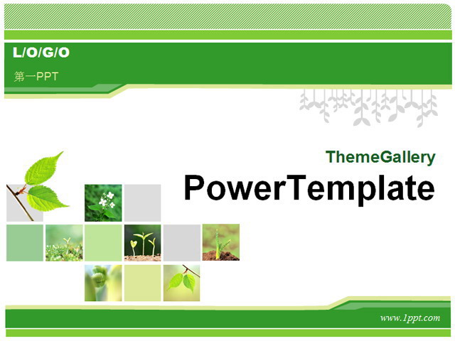 绿色植物PPT背景模板 经典绿色植物背景PPT模板下载