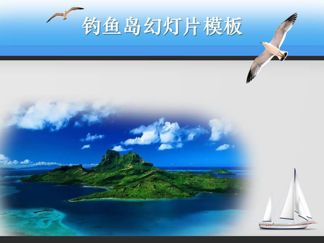 钓鱼岛海鸥 美丽的钓鱼岛PowerPoint模板下载