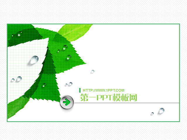 水珠绿色幻灯片背景 艺术树叶背景经典PPT模板下载