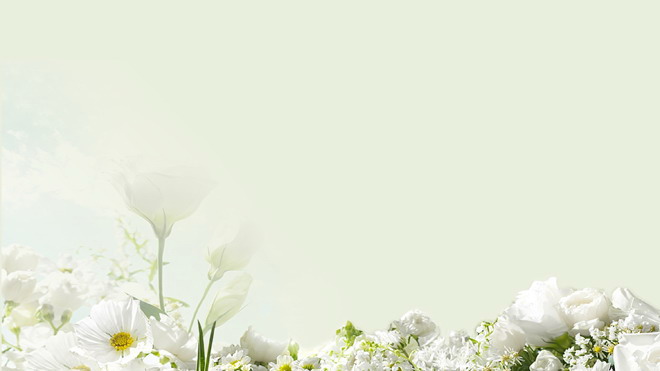 绿色淡雅PPT背景图片 淡雅绿色背景白色花卉PPT背景图片
