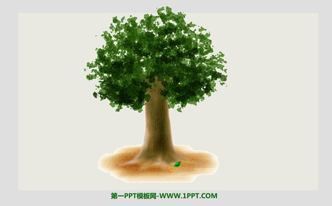 树木成长PPT动画下载 小树苗成长动画PPT下载