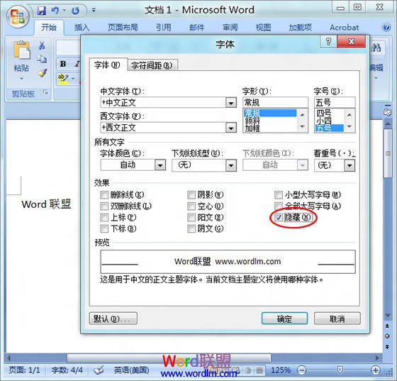 Word文档怎么隐藏文字 Word2007文档中隐藏文字的设置方法