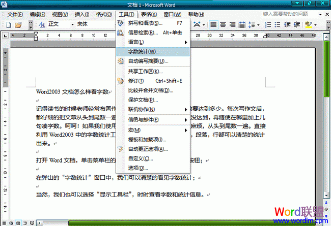 word字数统计 Word2003文档怎么样看字数