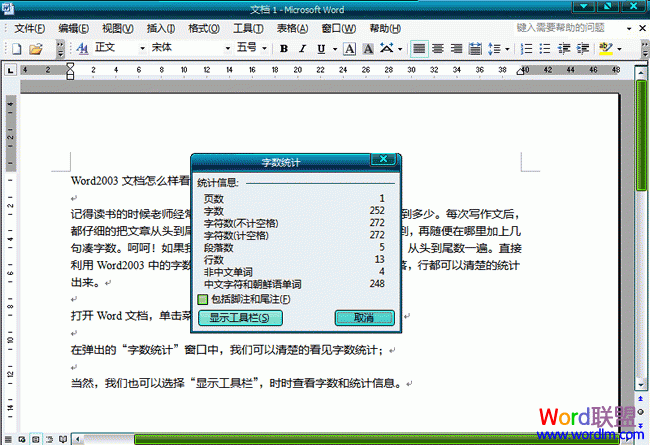 word字数统计 Word2003文档怎么样看字数