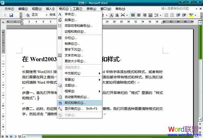 word文档如何清除样式 在Word2003文档中清除格式和样式
