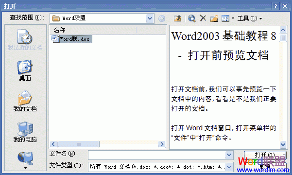 word预览文档 Word2003基础教程8 - 打开前预览文档