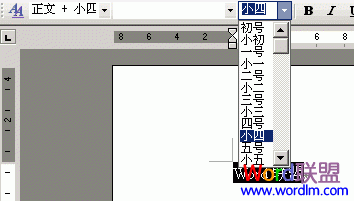 word设置字体大小 Word2003字体大小的设置技巧