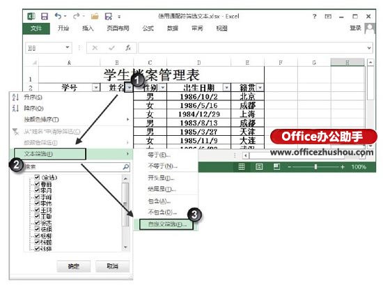 excel表格文本筛选 Excel表格中使用通配符筛选文本的方法