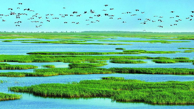 湿地幻灯片背景图片 四张精美绿色大自然生态PPT背景图片