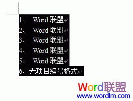 如何取消项目编号 Word2003快速取消所有项目编号格式方法